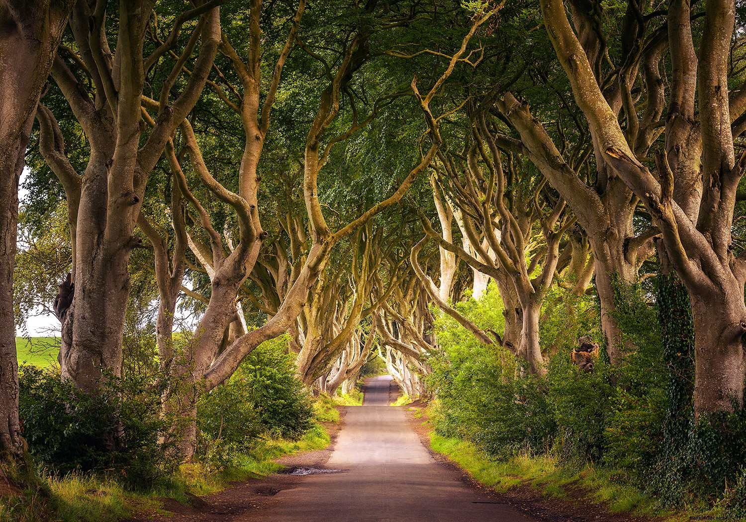 アイルランド旅行を予約すべきタイミングが来た理由