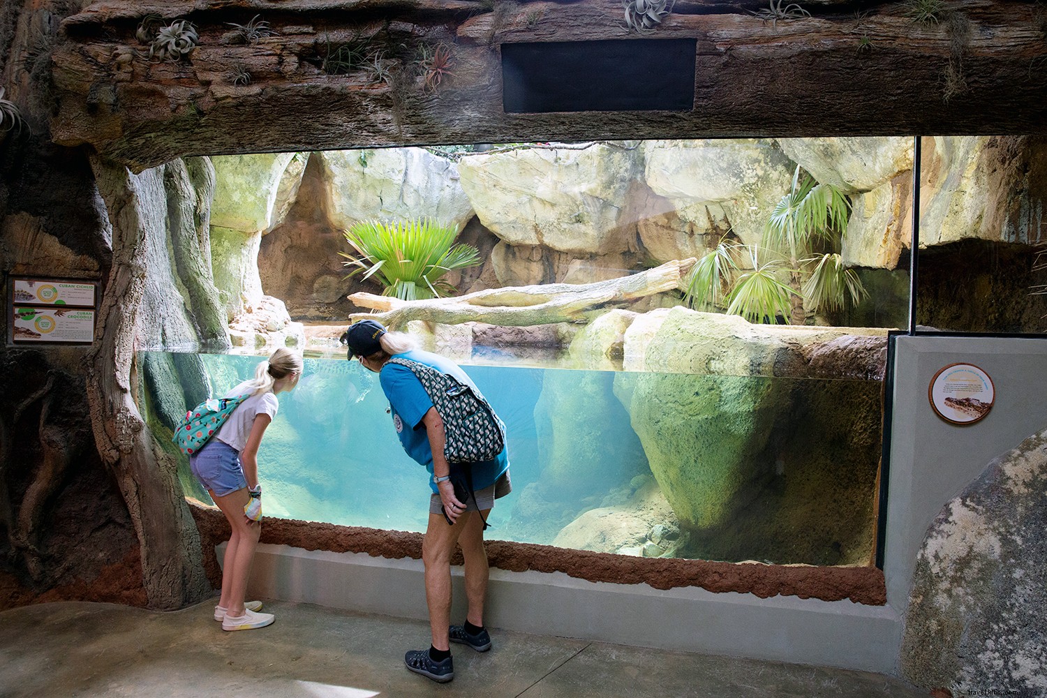 ノックスビルで夏を満喫しよう