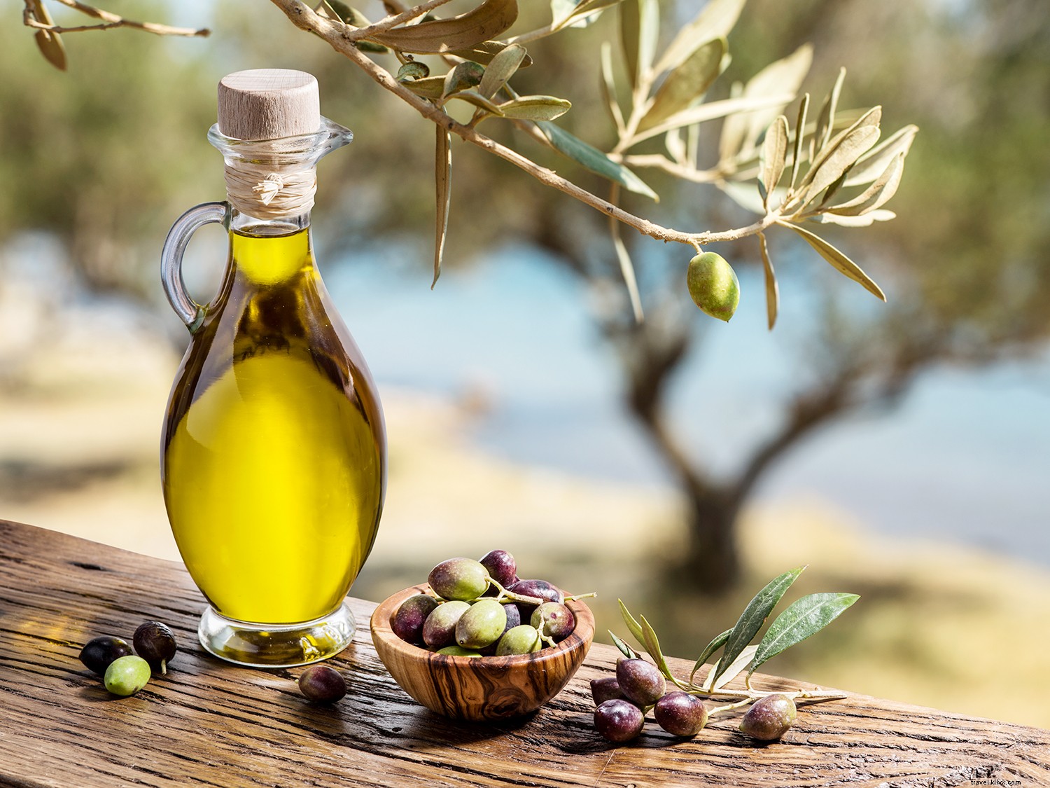 ギリシャを満喫する旅の食体験ガイド