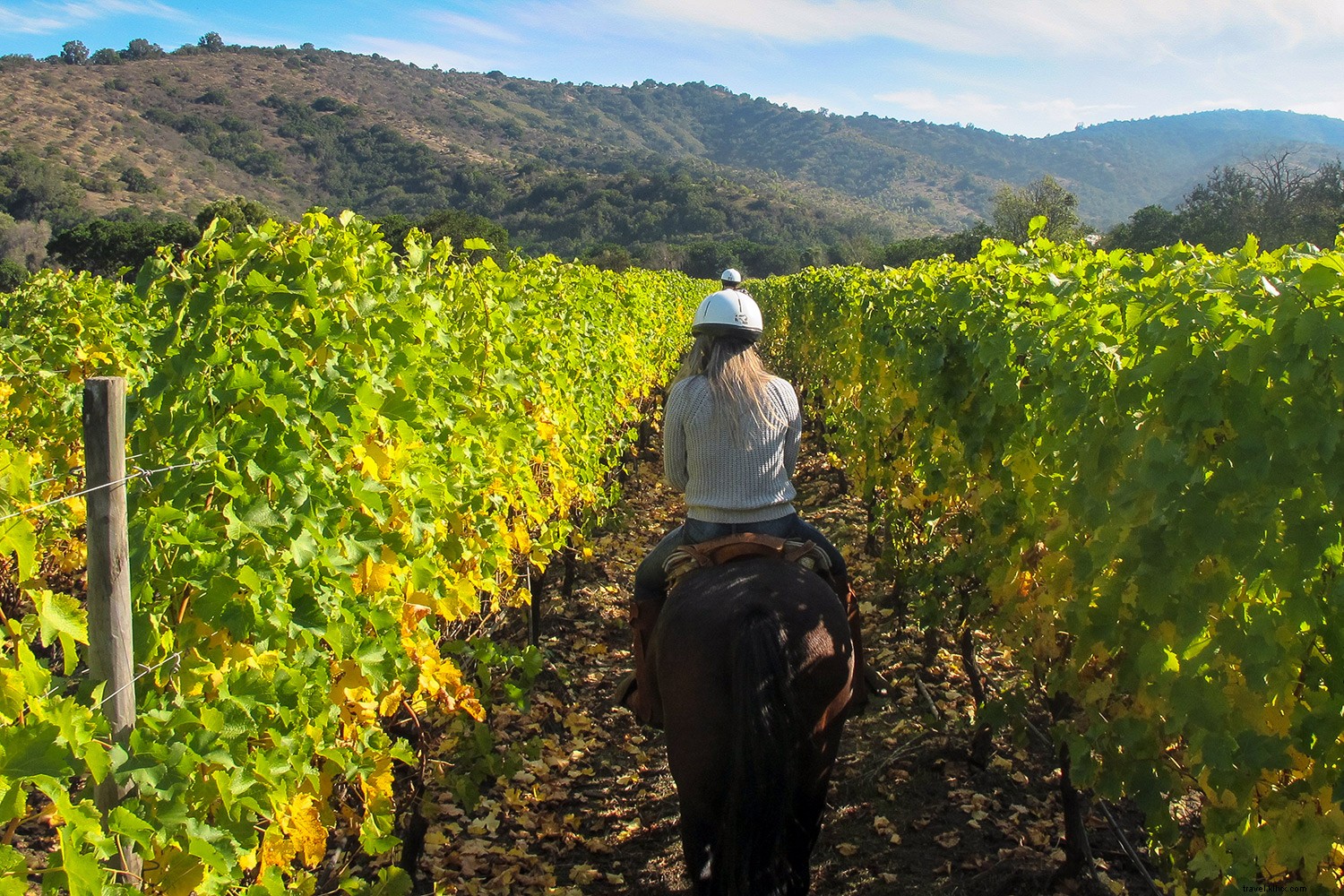 世界で訪れるべき最高のワイン産地9選