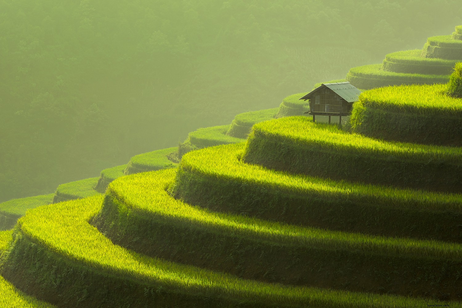 次の旅を刺激する20枚の魅力的な写真