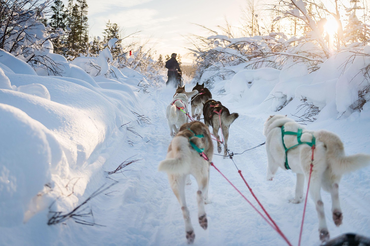 2020年に旅行するのに最適な20の場所