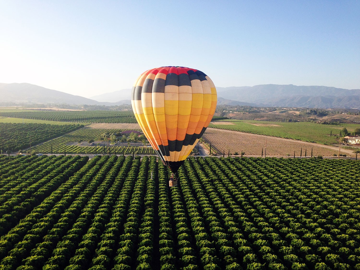 カリフォルニアワイン月間がもっと楽しくなる理由