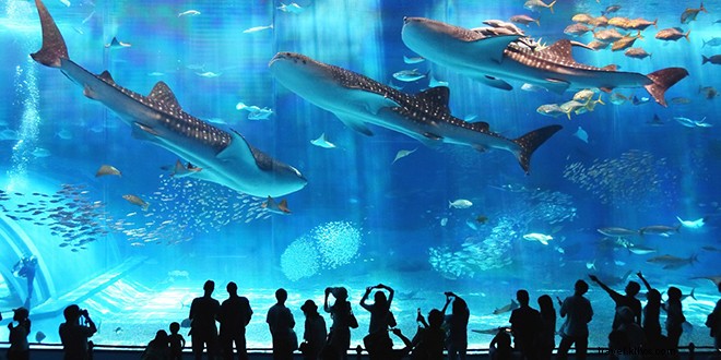 沖縄旅行の魅力：不老不死の楽園を見逃すな