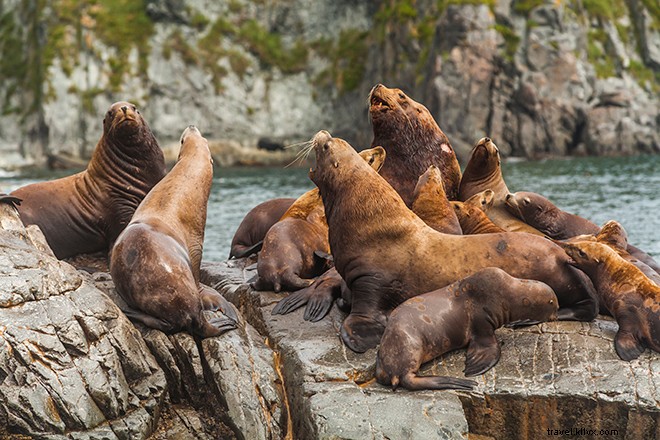 カナダ・ハイダ・グワイ諸島は北のガラパゴス