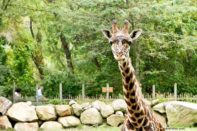 プロビデンスで出会う9タイプの旅行者
