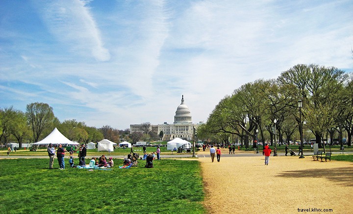 家族旅行の予算を抑える：ワシントンD.C.で楽しめる19の無料アクティビティ