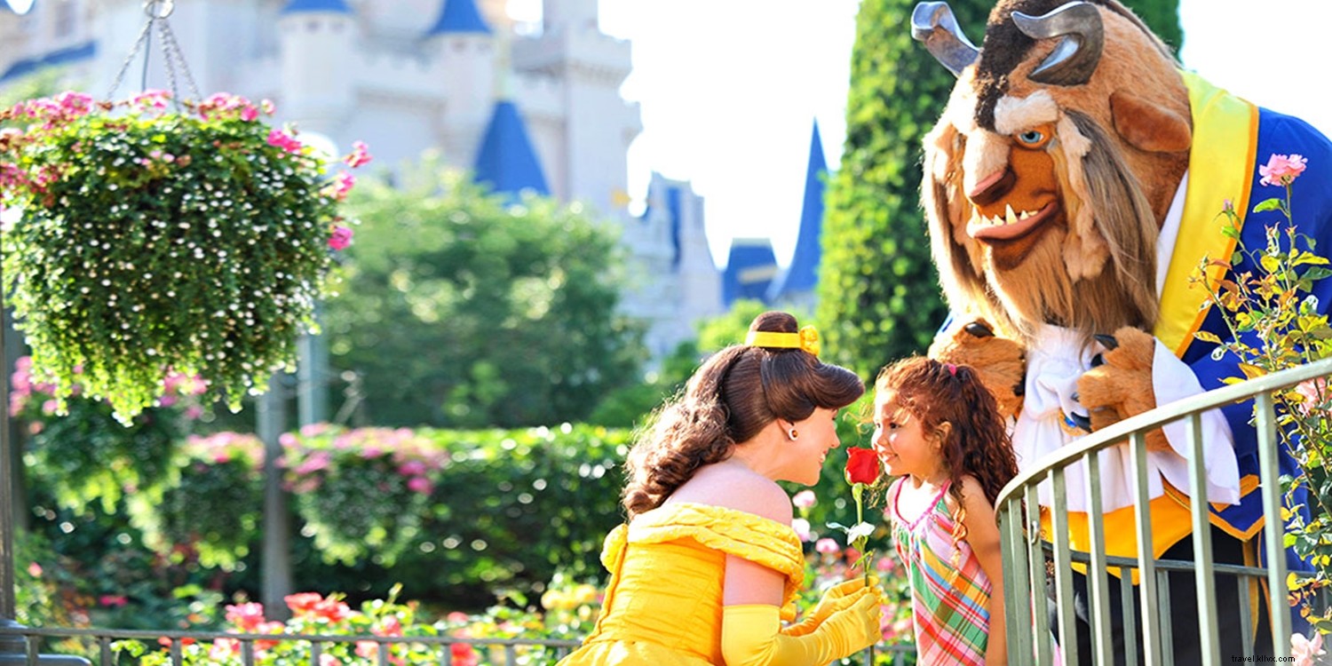 予算別に楽しむディズニー&オーランド旅行のコツ