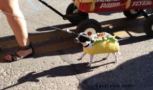 ¡Que Viva Santa Fe! を叫ぼう