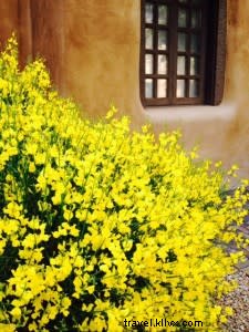サンタフェで待ち受ける芸術的冒険