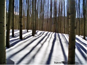 サンタフェに雪が降り、ウィンタースポーツが彩る