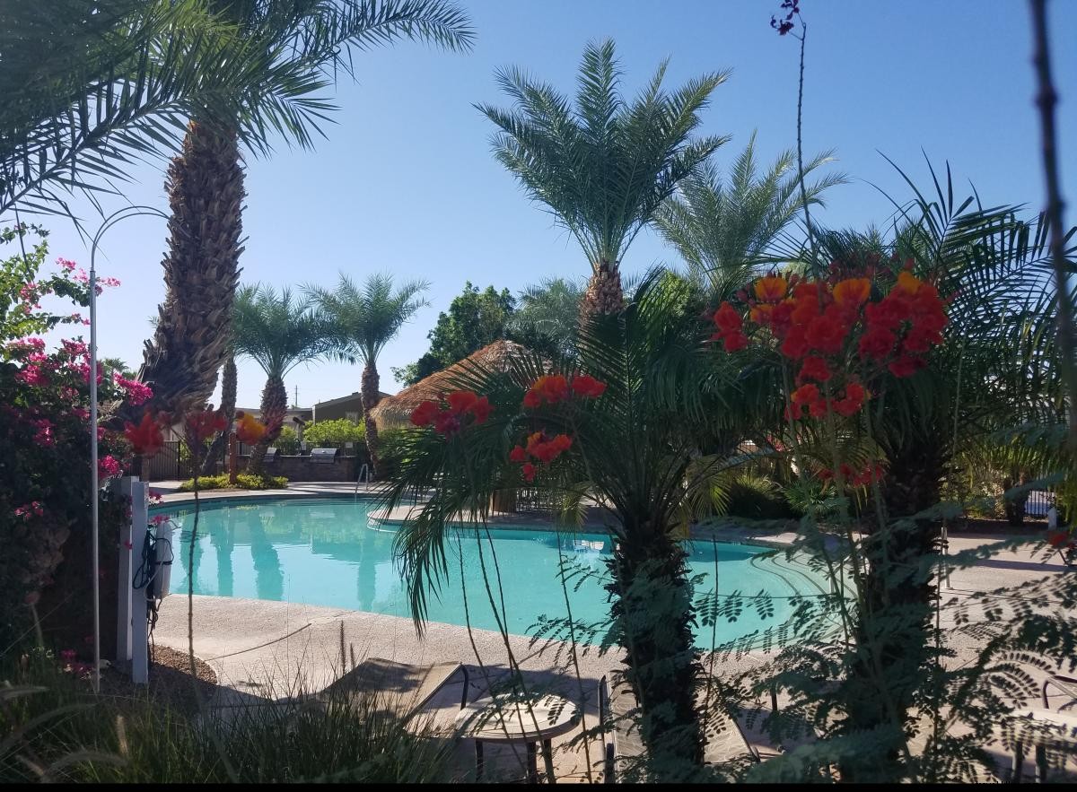 カリフォルニア州ニードルスでの旅行プラン
