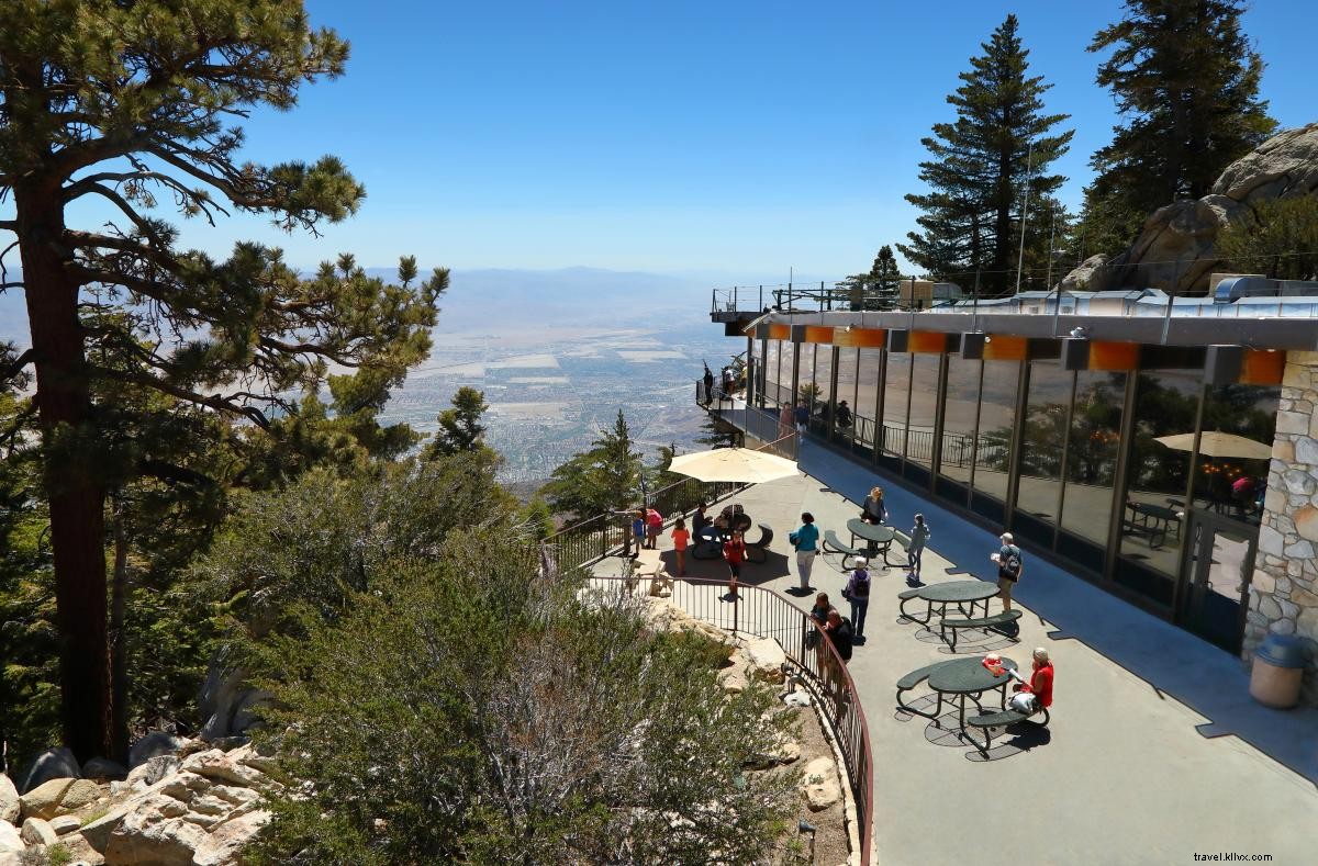 今年の夏、グレーターパームスプリングスで体験すべき魅力