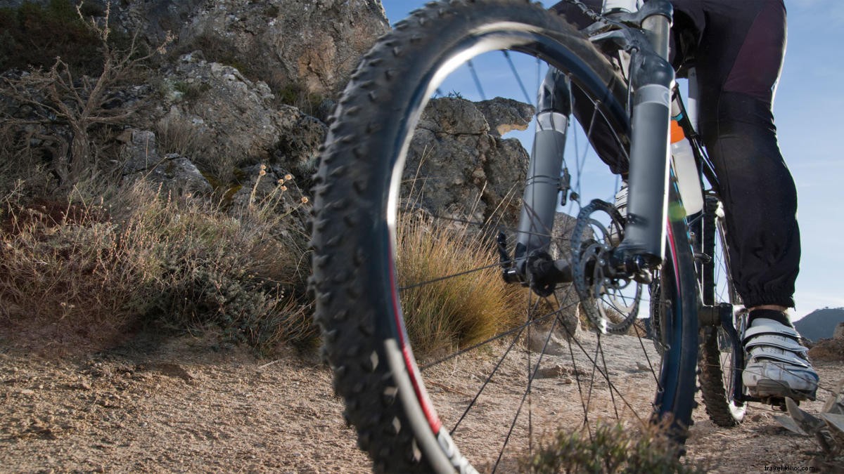 グレーターパームスプリングスで自転車ツアーを楽しむ方法