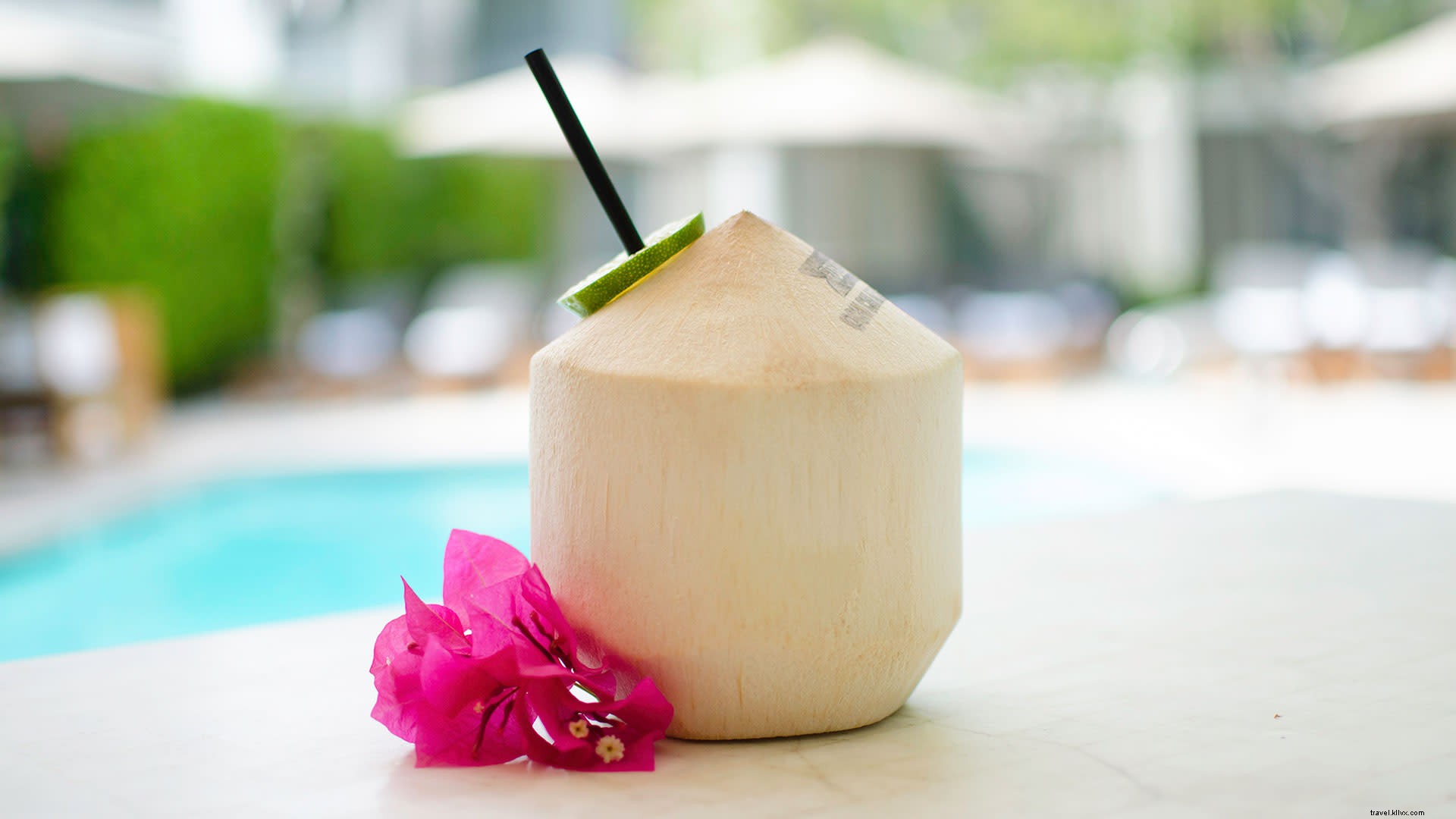 グレーターパームスプリングスの夏、必飲カクテル特集(第1部)