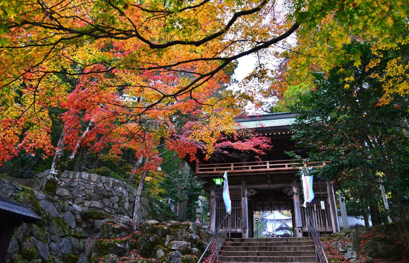東北の山伏と四国巡礼に見るシンクレティズムと修験道の探求