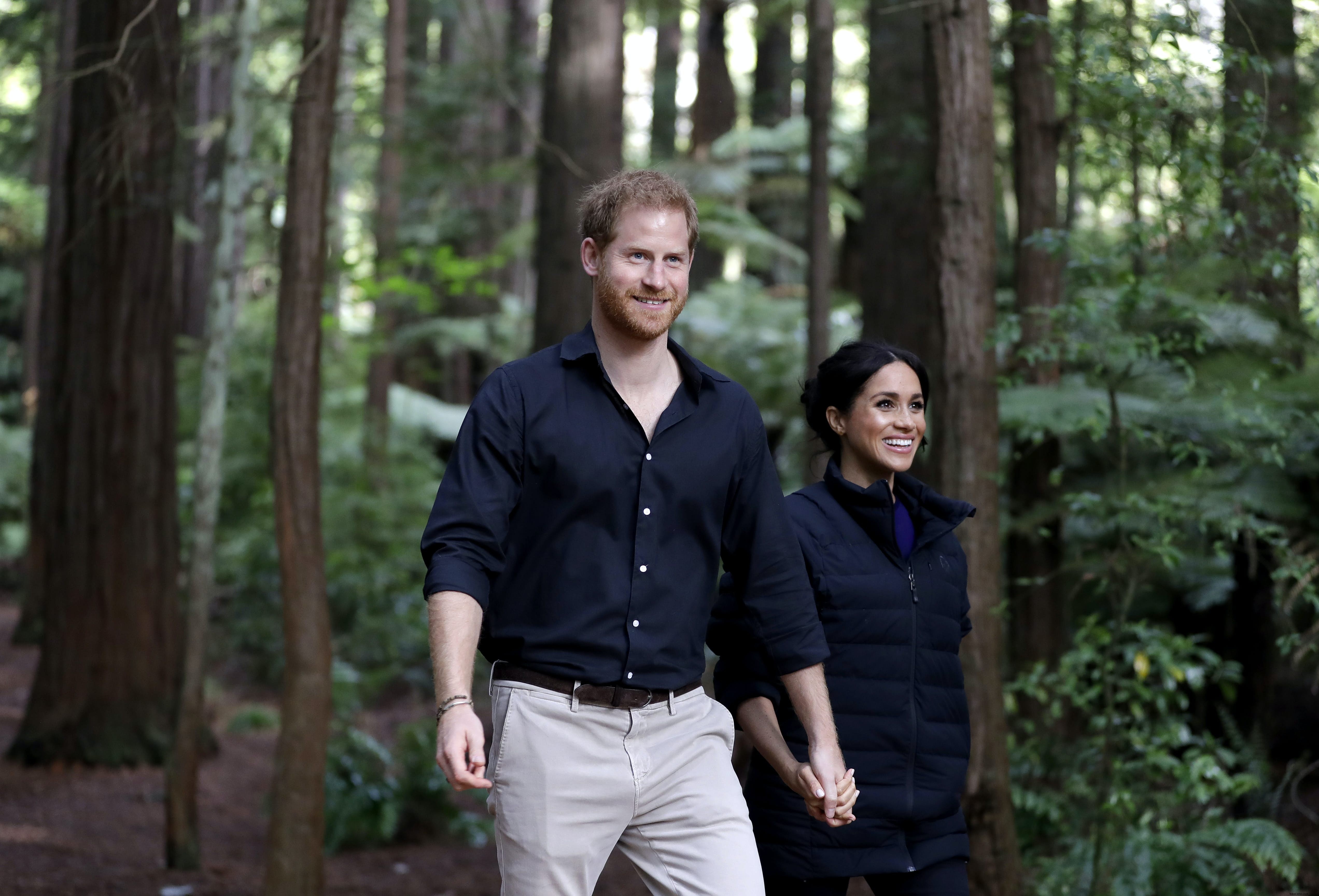 ハリー王子とメーガン妃、赤ちゃんアーチーと共にアフリカ公式訪問　行き先が発表