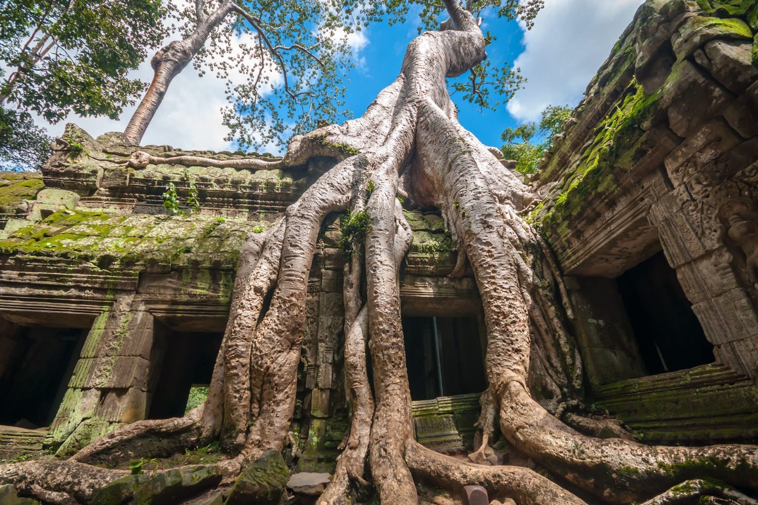 予算に優しい新婚旅行ベスト10