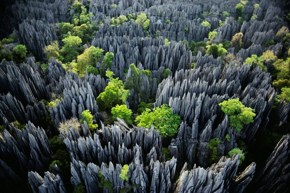 東アフリカ・インド洋の島々、あなたにぴったりの旅行先はどこ？