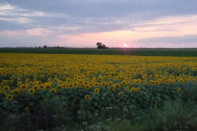 2013年の旅ハイライトと思い出