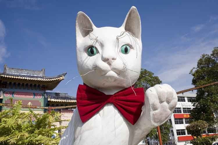 猫好き必見！世界の猫スポット10選