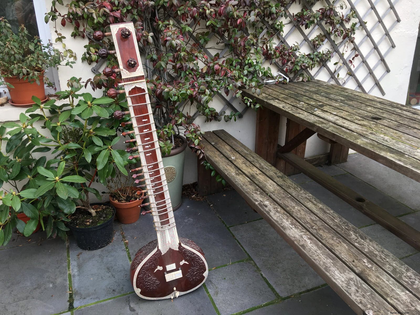 お気に入りのお土産にまつわる裏話