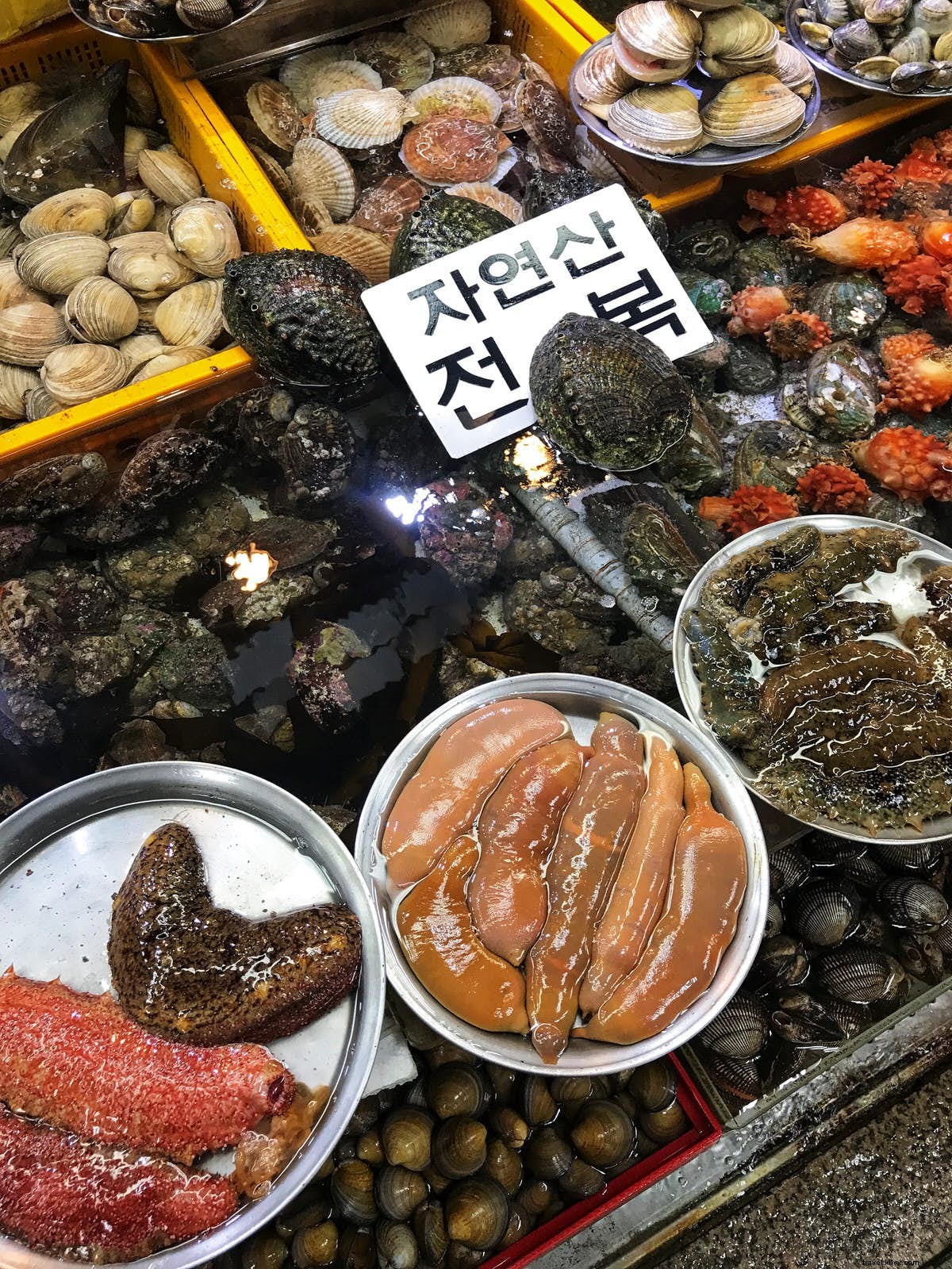 釜山の軽食：海辺の街で味わうユニークな料理