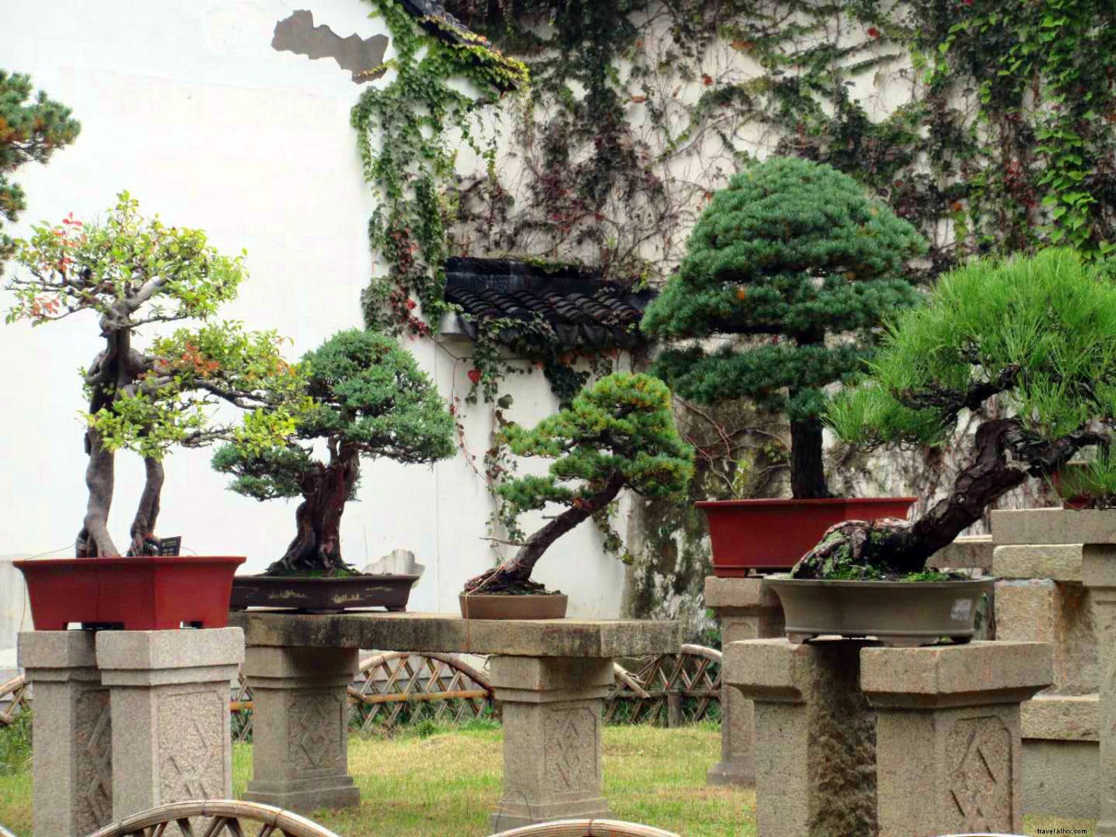 長く愛される庭園：蘇州のエレガントな古典中国庭園