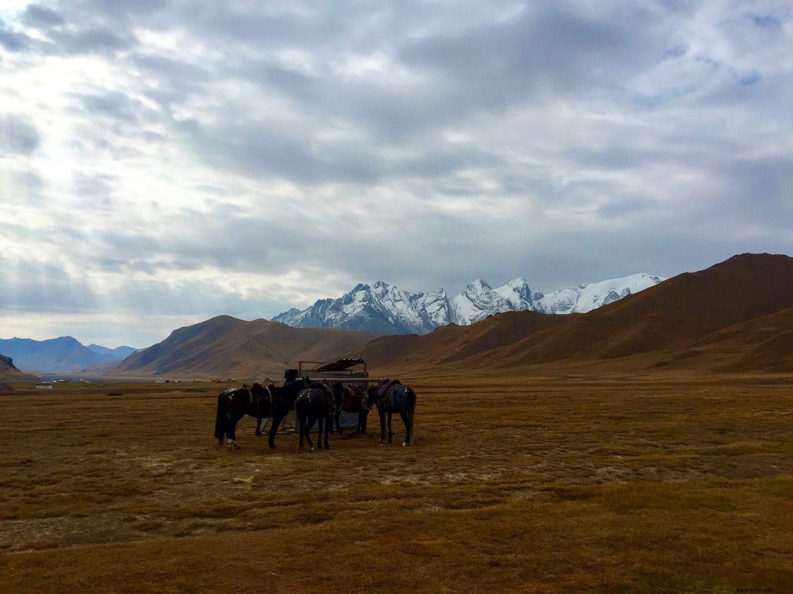 世界の中心で失われた：キルギスタンの野生天山