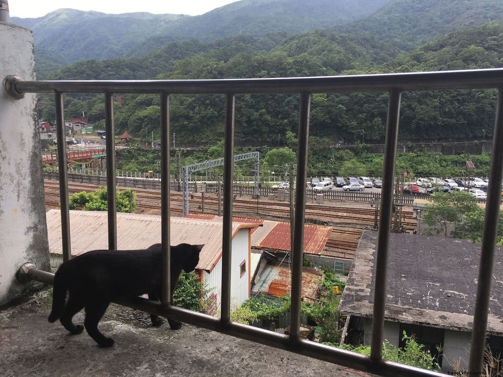 猫の楽園・猴硯へようこそ：台湾・北部の猫村ガイド