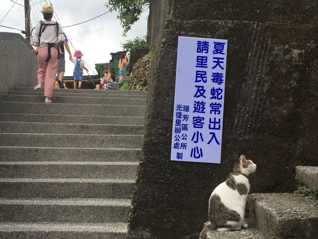 猫の楽園・猴硯へようこそ：台湾・北部の猫村ガイド