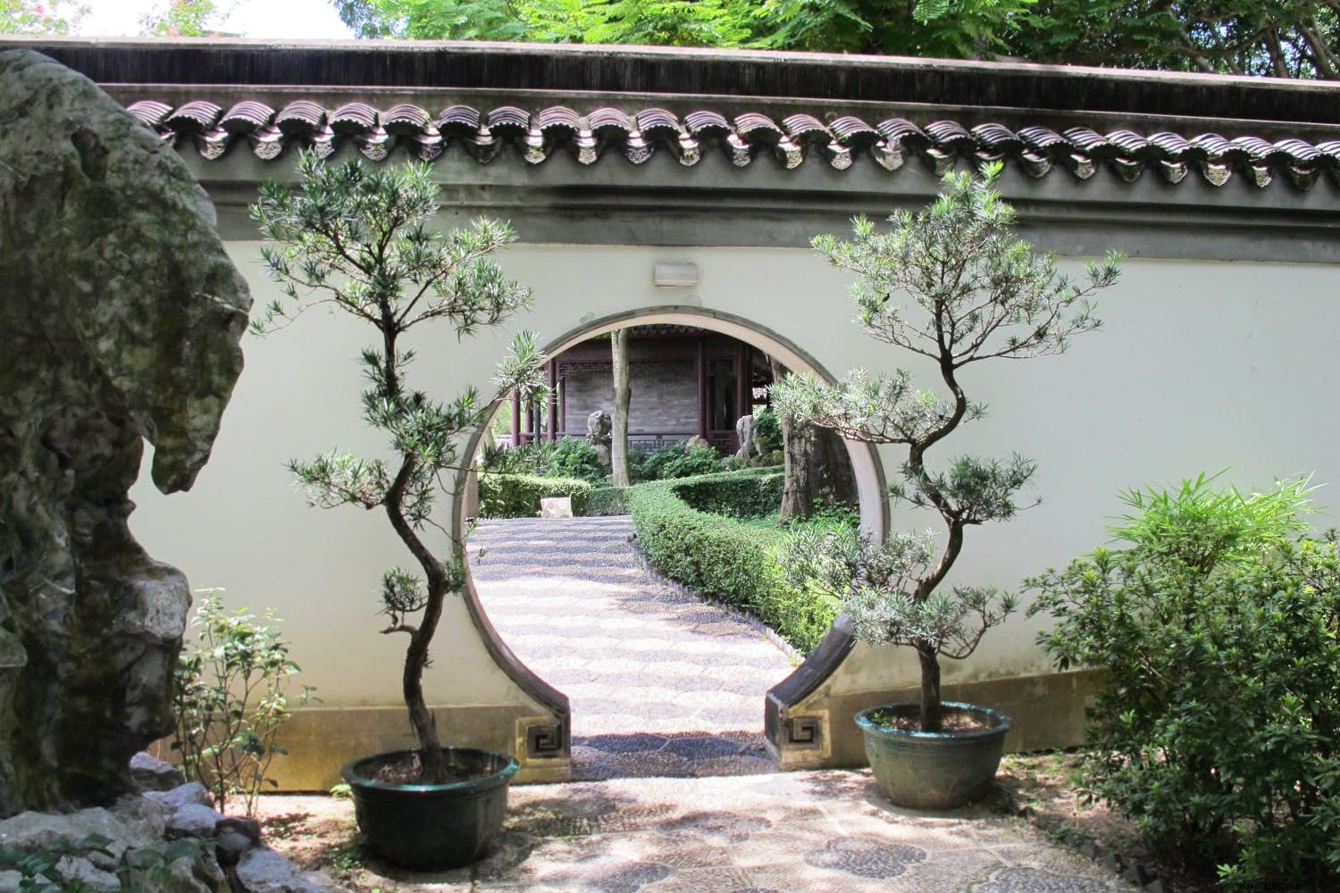 香港の喧騒:子どもと一緒に九龍を探検
