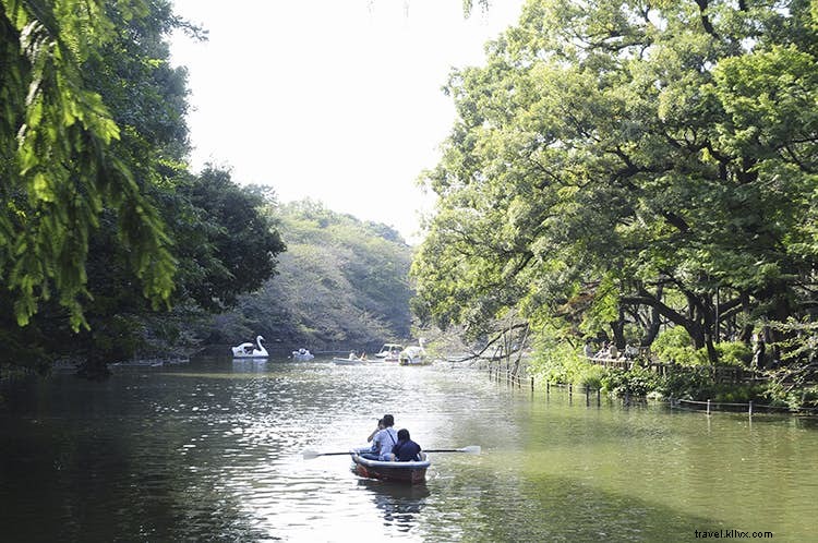 トレンドに敏感な旅路：かつての流行地区に代わる本物のクールスポット