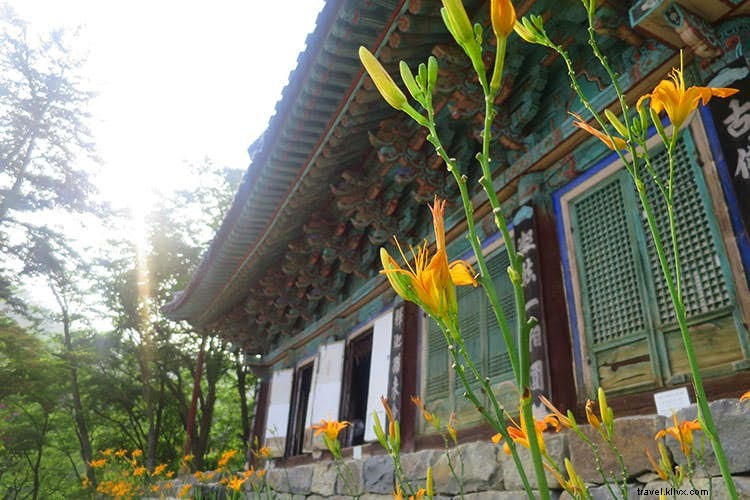 禅の隠れ家：初心者のための韓国寺院滞在ガイド