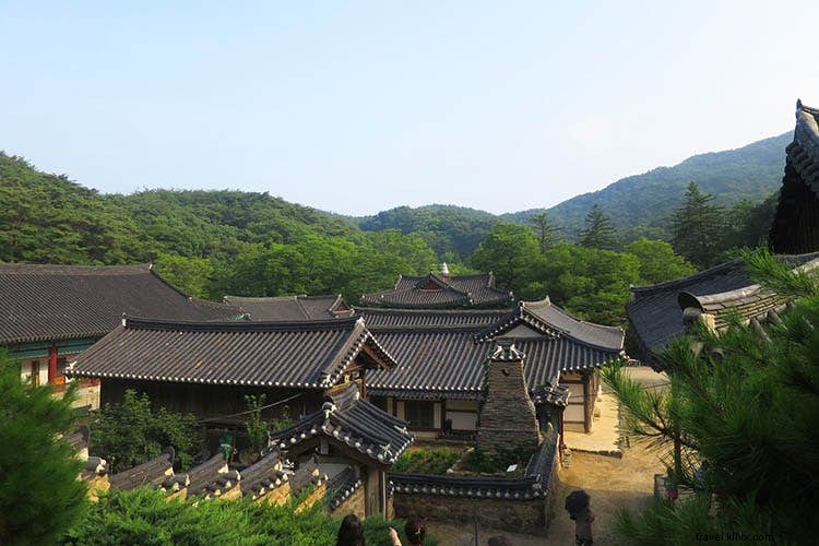 禅の隠れ家：初心者のための韓国寺院滞在ガイド