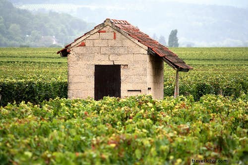 世界の名酒10選 – 旅先で味わうべき最高のお酒