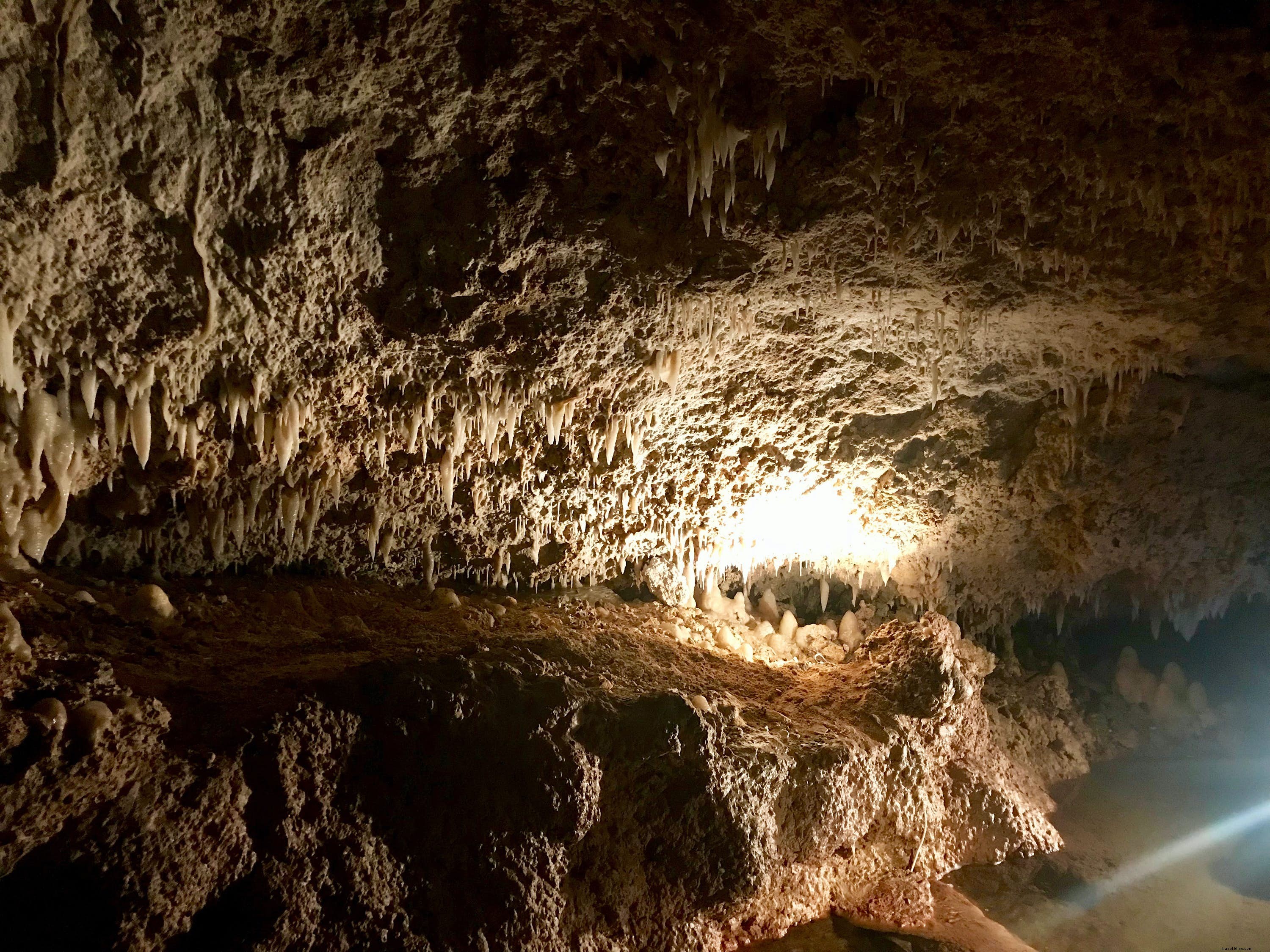 南カリブ海の冒険：3つの島、3つの楽しみ方