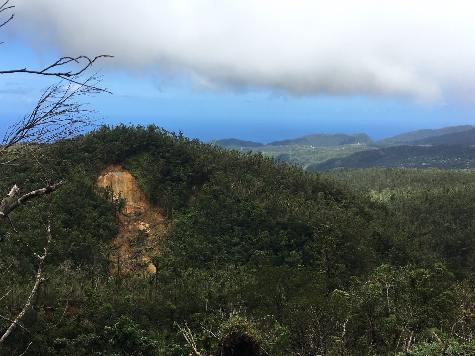 ドミニカでハイキング：カリブ海で最も冒険的な島