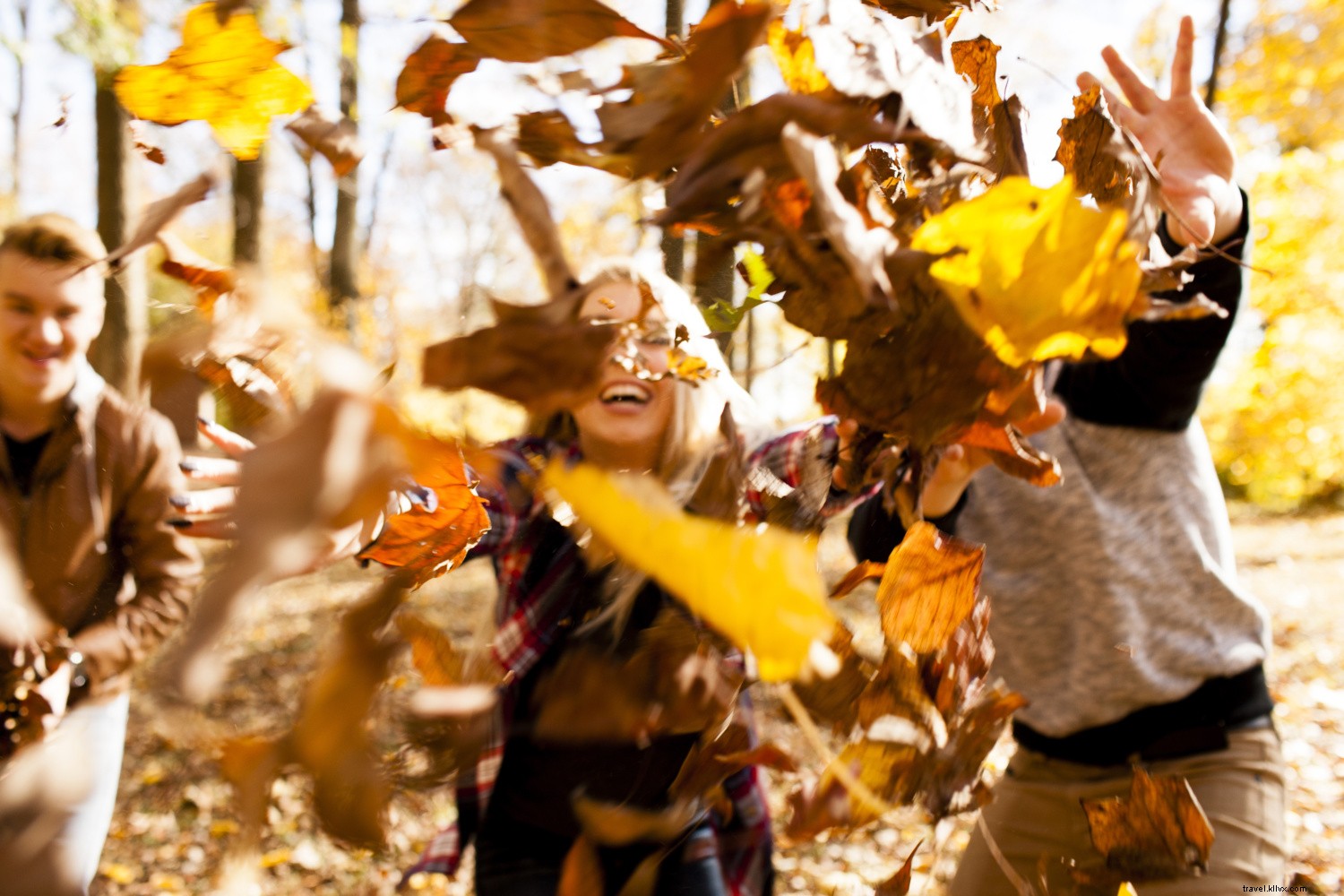秋の紅葉が美しいトップ10旅行先