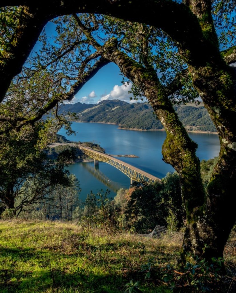 Instagramで見るカリフォルニア・サンタローザ／ソノマ郡：今週のトップ10