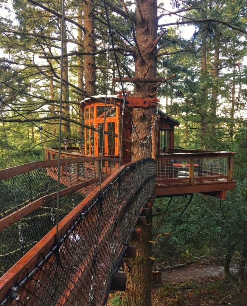 Instagramで見るカリフォルニア・サンタローザ／ソノマ郡：今週のトップ10