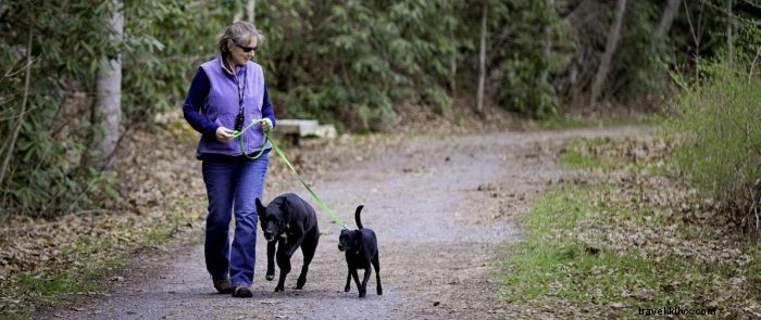 愛犬と楽しむ、ウェストバージニアのペットフレンドリートレイル5選