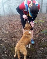 チャタヌーガ周辺の犬に優しいハイキングトレイルガイド
