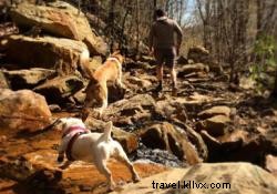 チャタヌーガ周辺の犬に優しいハイキングトレイルガイド