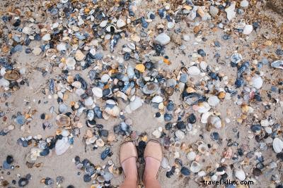 OBXフロントガラスツアー:安全に、賢く、楽しむ