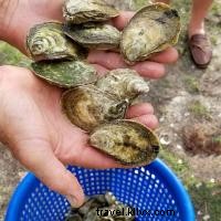 料理の冒険:Outer Banksは誰にでも魅力がある