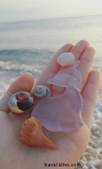 外岸（Outer Banks）で見つけた希少シーグラス