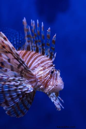 タンパベイで楽しむ最高のアウトドア体験と自然保護ガイド