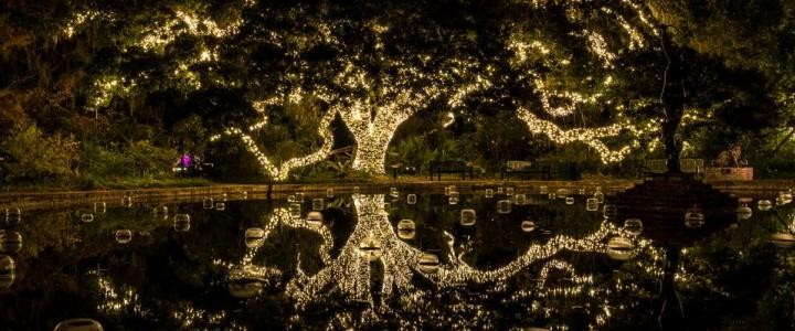 クリスマスの12日間・第7日目：ブルックグリーン・ガーデンの千本キャンドルの夜