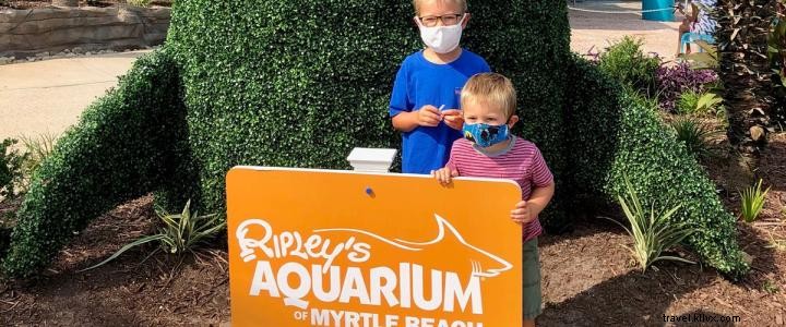 リプリーズ水族館とロッキン・ジャンプ、子ども向けの楽しさと安全対策の強化